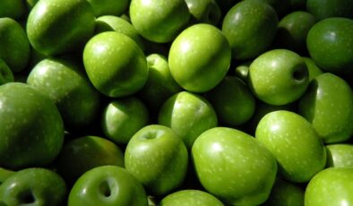 Sofralık zeytin ihracatında tarihi rekor