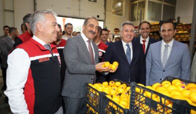 Satsuma mandalina yüklü TIR’lar ihracata yolcu edildi