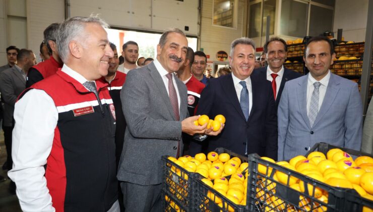 Satsuma mandalina yüklü TIR’lar ihracata yolcu edildi