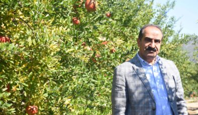 İhracatta nar bereketi