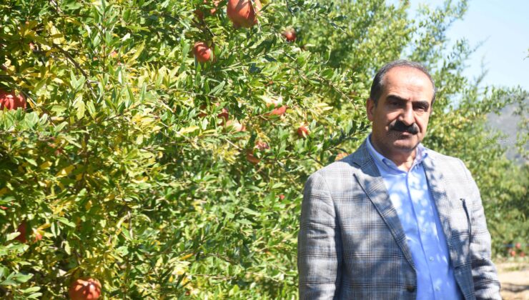 İhracatta nar bereketi