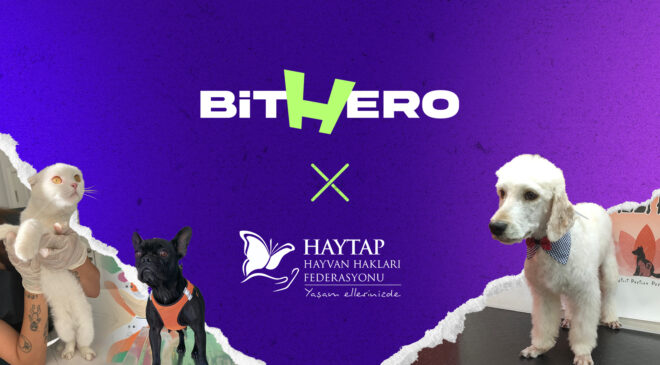 Haytap ve BitHero Kripto Güçlerini Birleştirdi